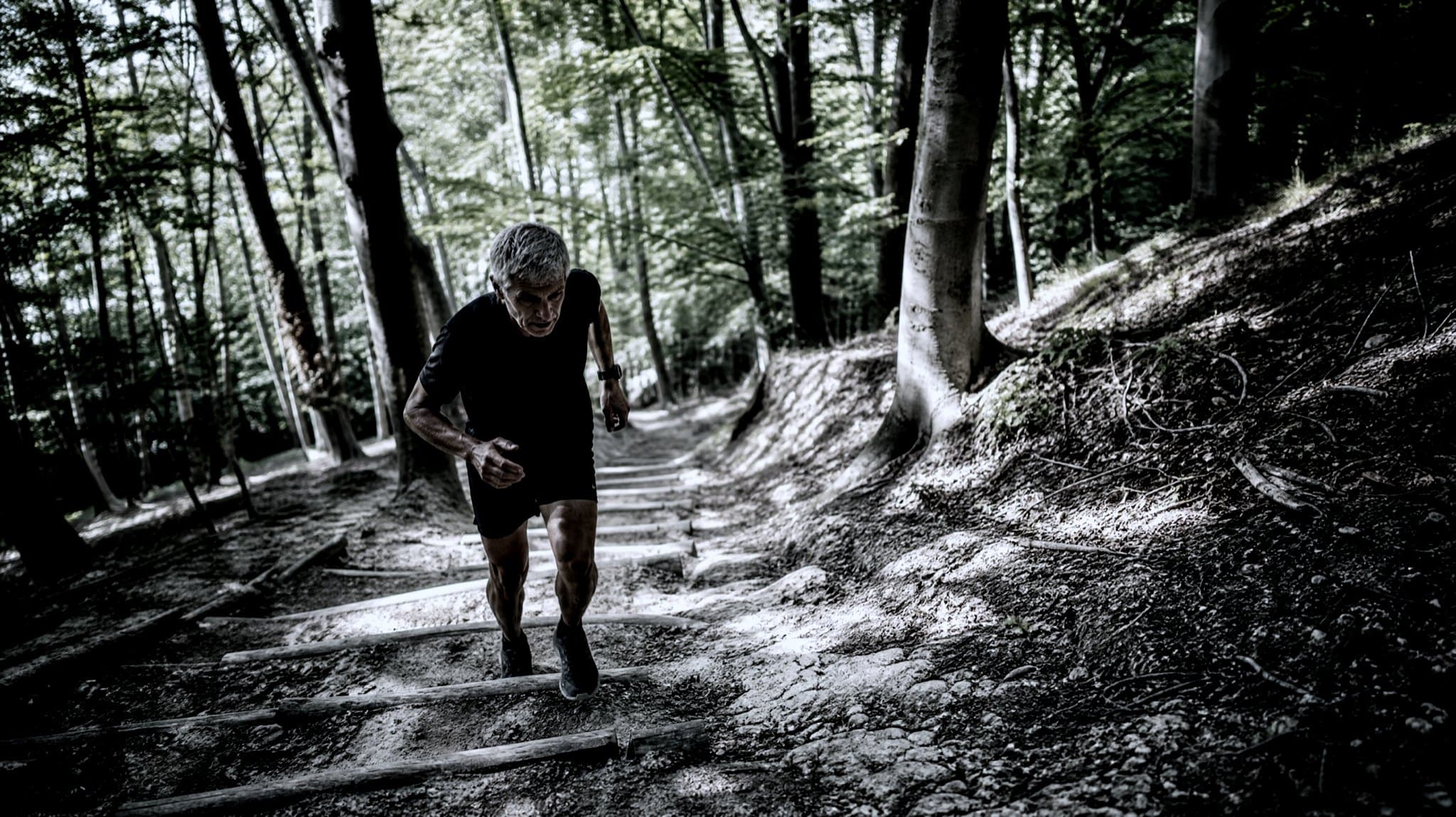 A grey-haired runner climbing timber-edged steps on a chalk path through summer beech woodland
